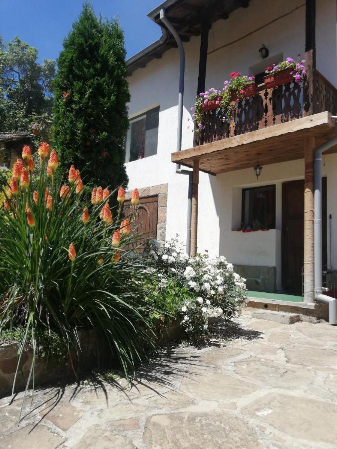 Къща За Гости Чичарите Gabrovo Eksteriør bilde